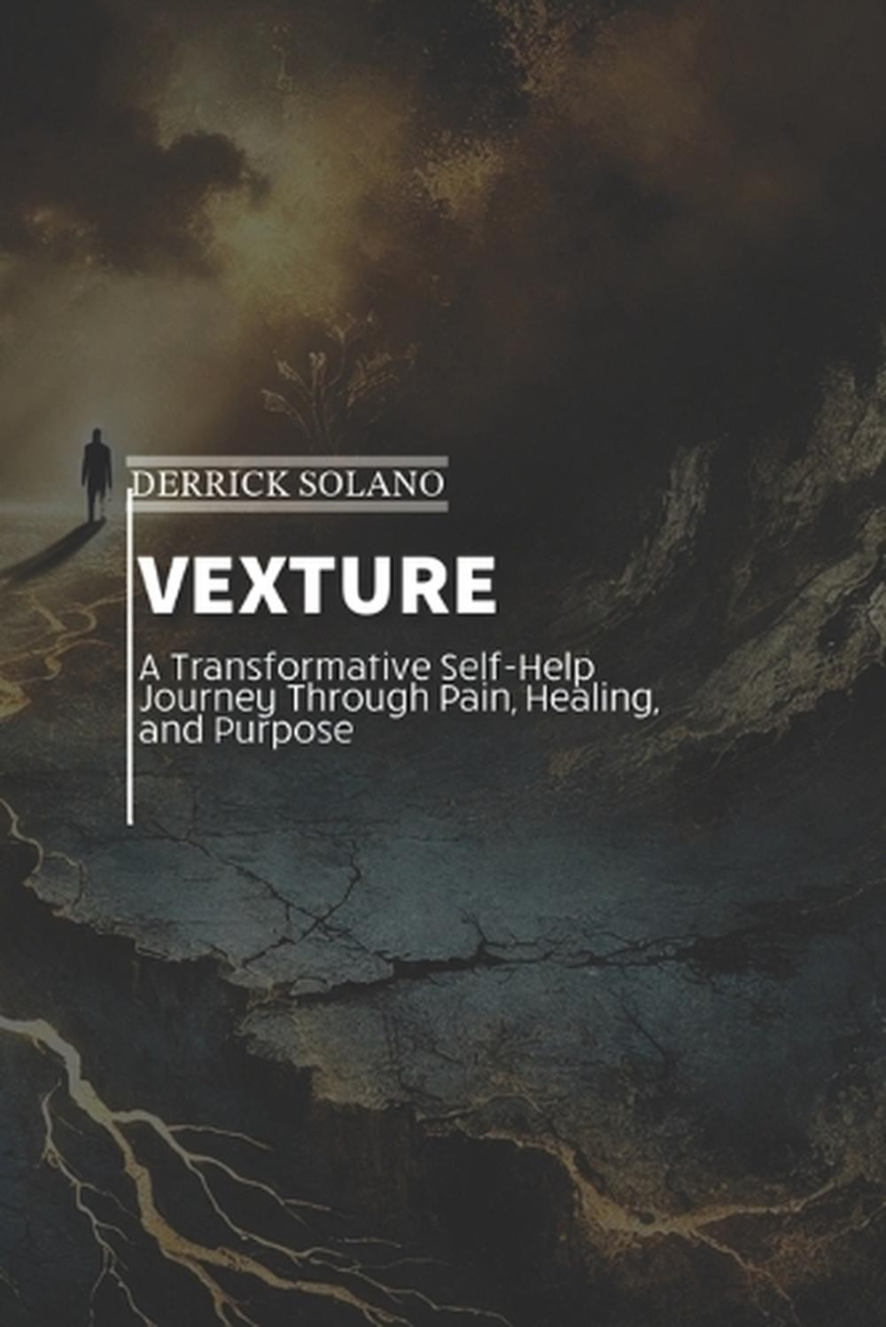 Vexture by Derrick C. Solano Paperback Book