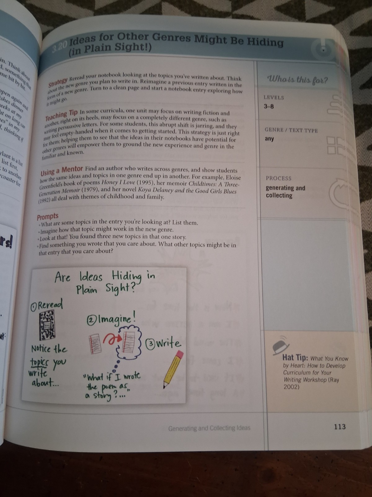 The Writing Strategies Book by Jennifer Serravallo (410 pages) Softcover
