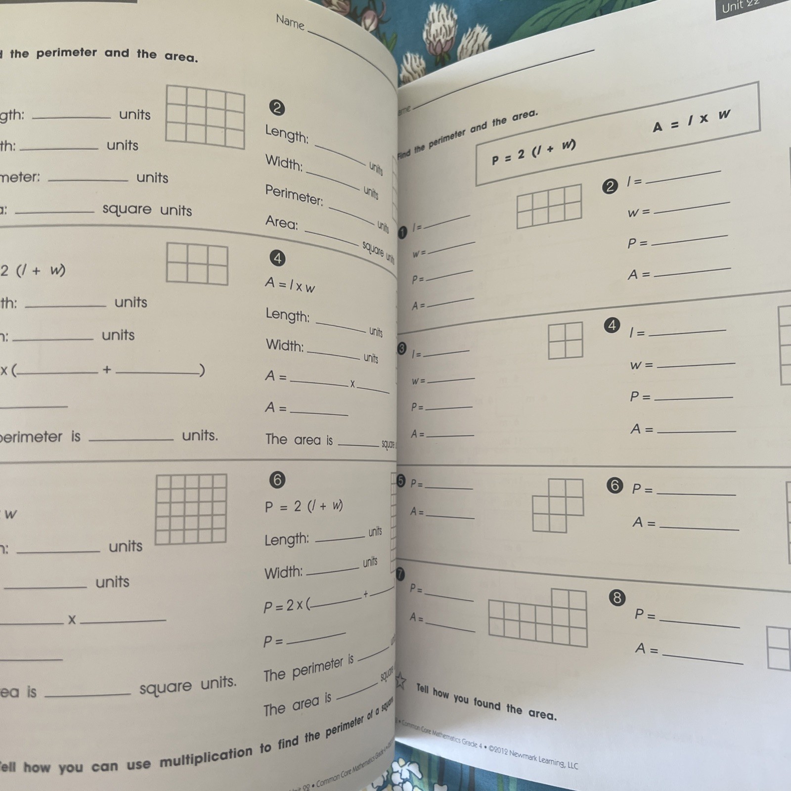 Newmark Learning Grade 4 Common Core Mathematics Aid
