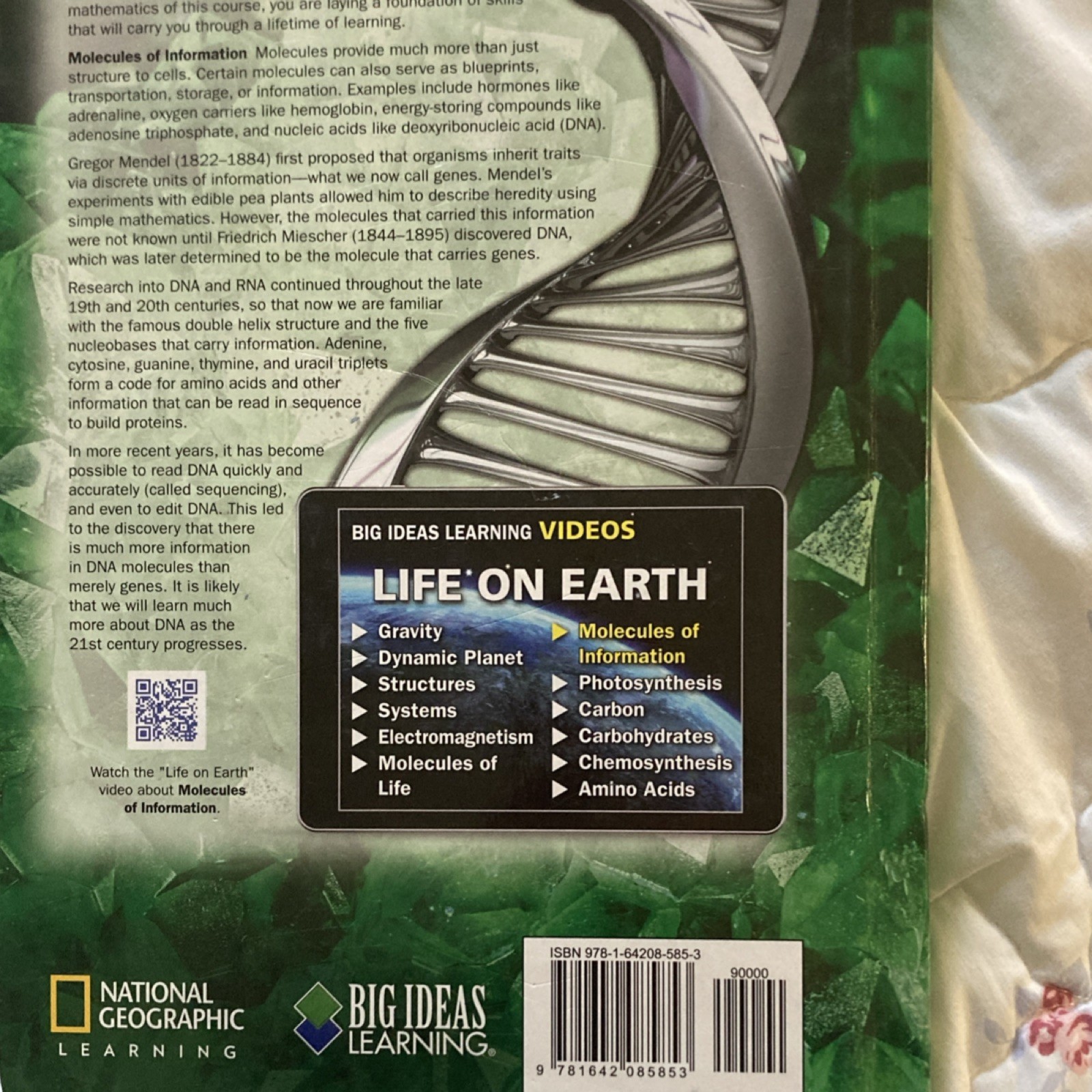 Big Ideas Math: Modeling Real Life Common Core 2019 Hardcover Textbook