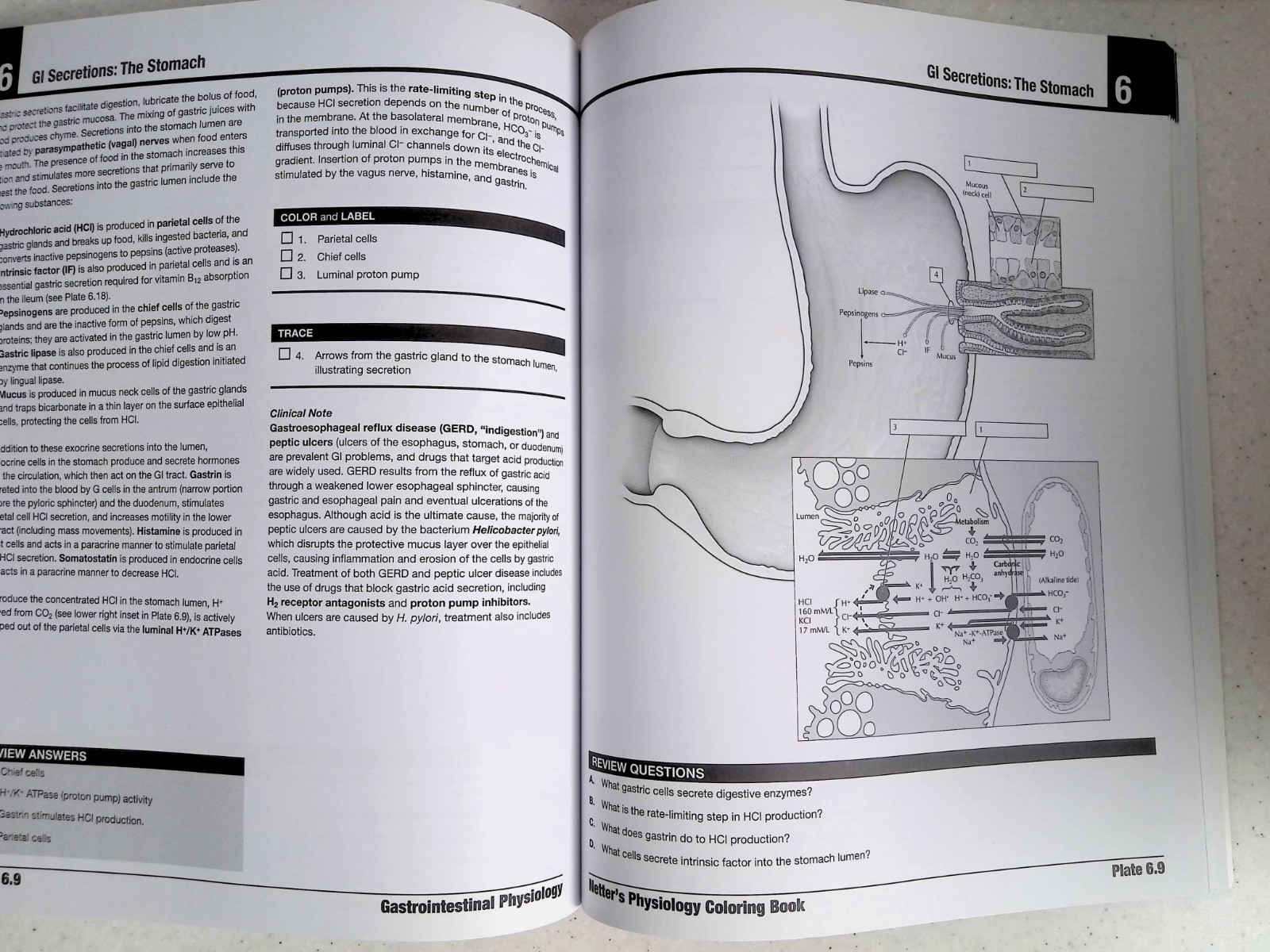 Netter’s Physiology Coloring Book by -S. Mulroney/A. Myers, Large Paperback 2022