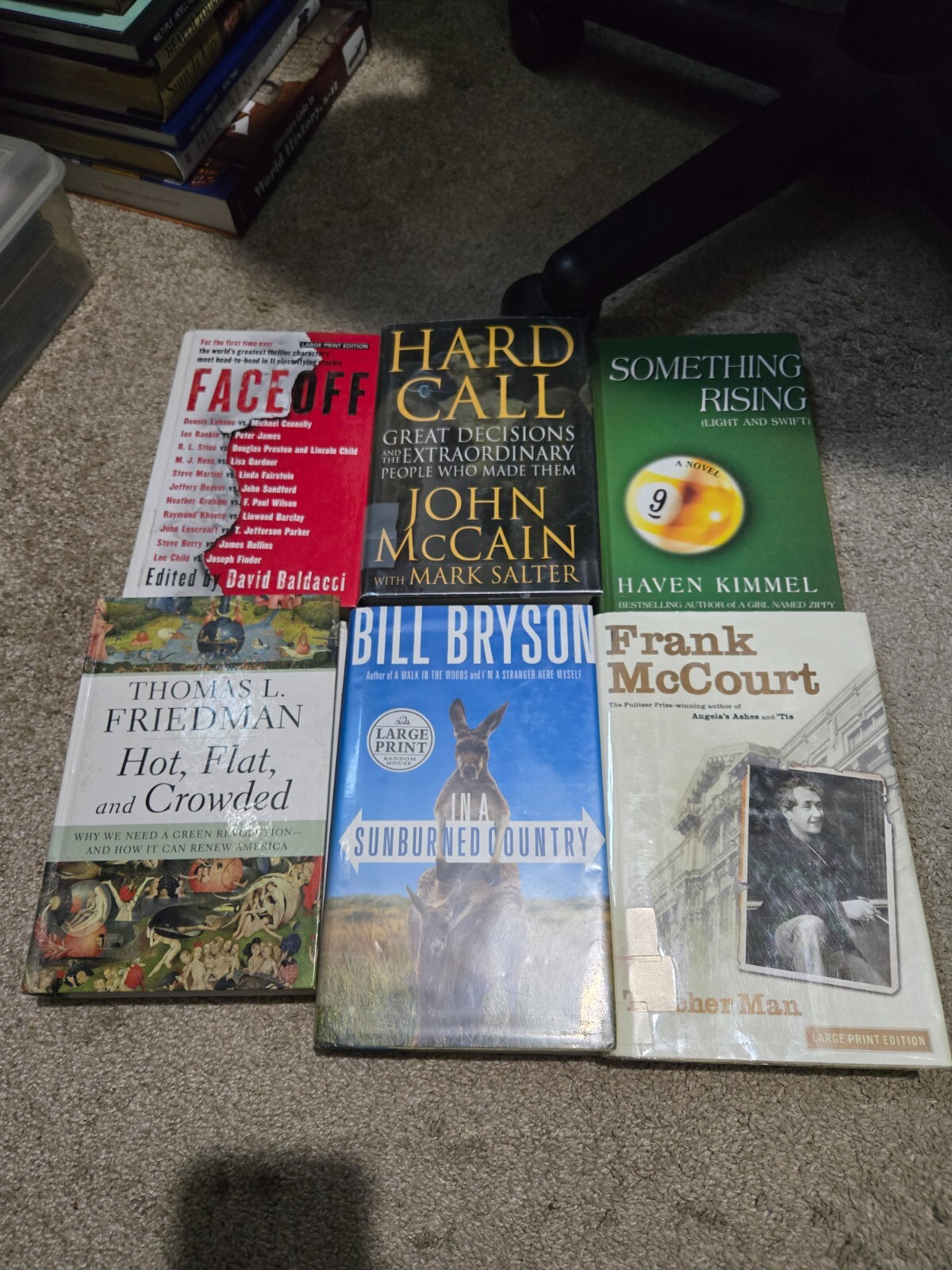 Large Lot of 18 Large Print Books – Various Titles, Subjects, Authors