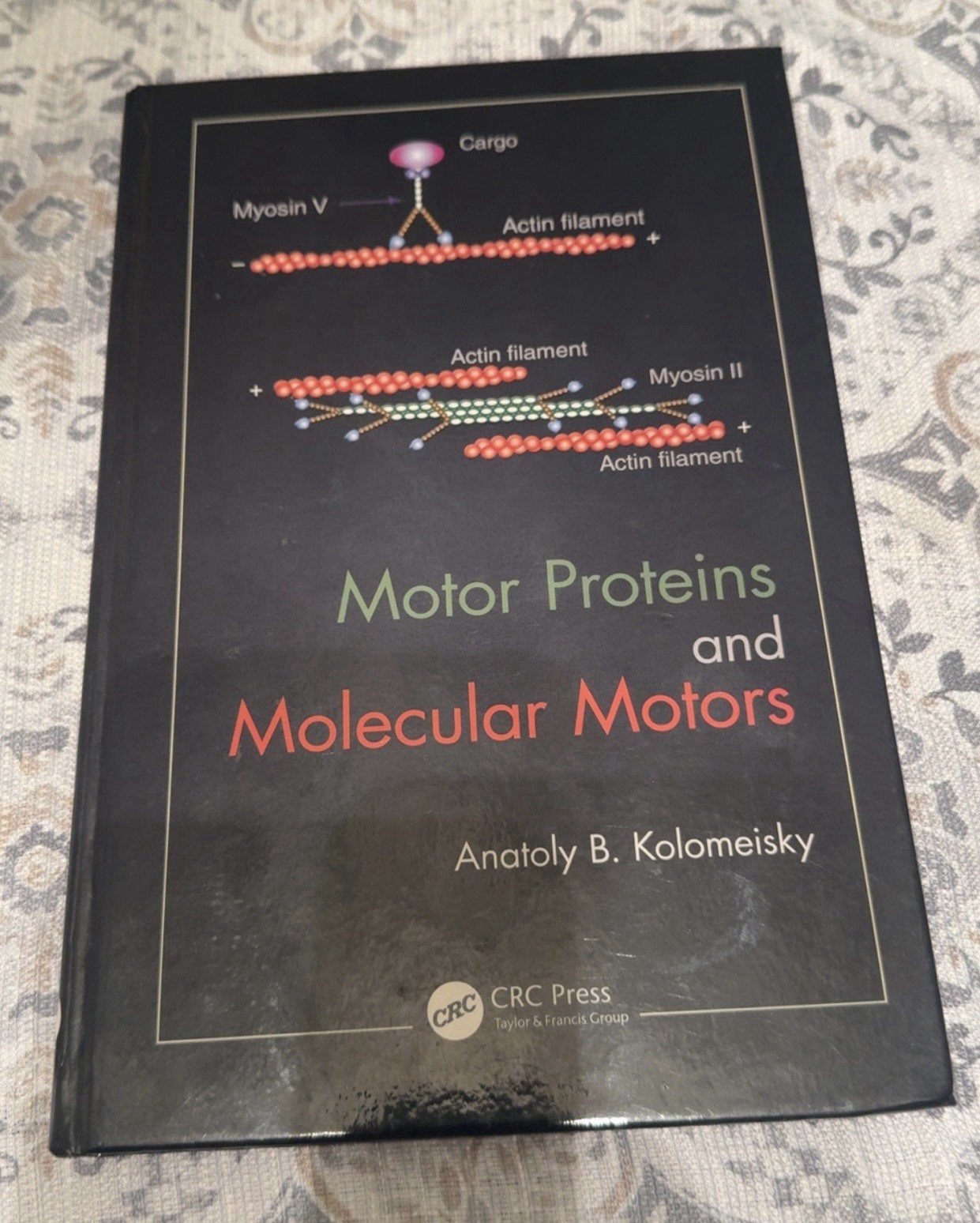 Motor Proteins and Molecular Motors by Anatoly B. Kolomeisky Hardback Book