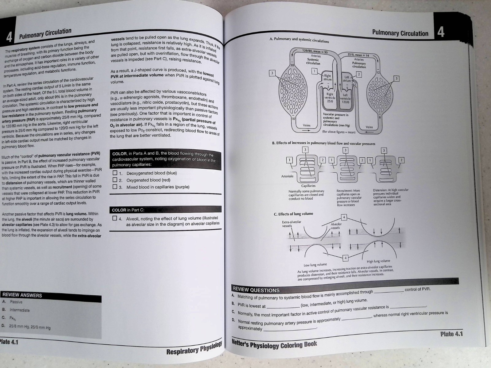 Netter’s Physiology Coloring Book by -S. Mulroney/A. Myers, Large Paperback 2022