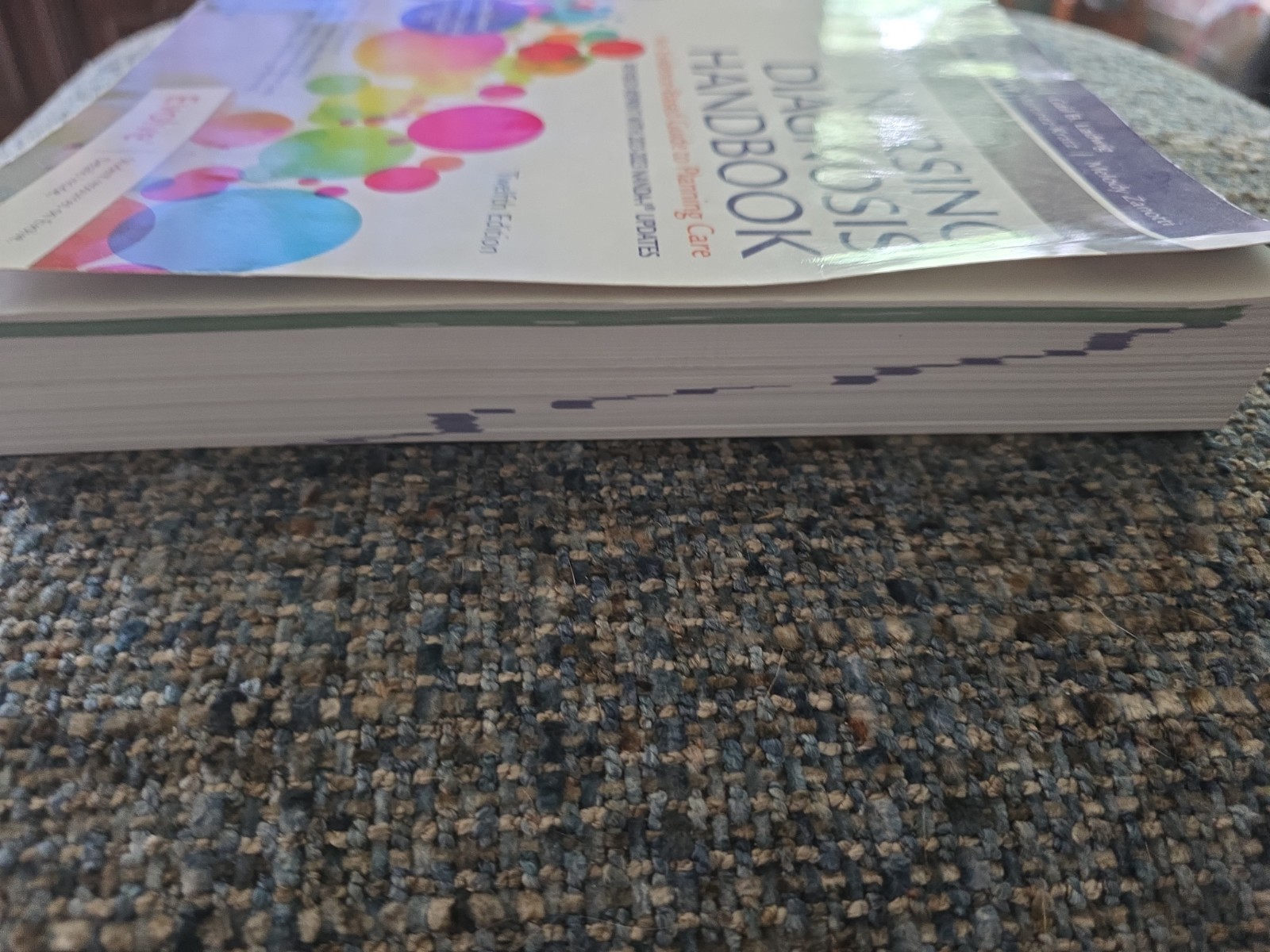 Nursing Diagnosis Handbook, 12th Edition Revised Reprint with 2021-2023 NANDA-I®