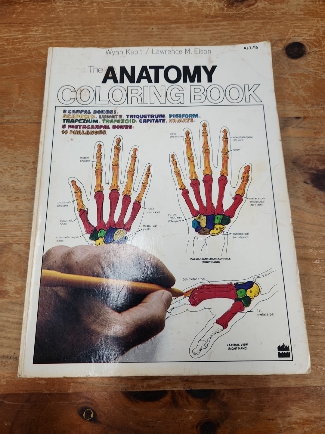 The Anatomy Coloring Book, Kapit, Wynn; Elson, Lawrence