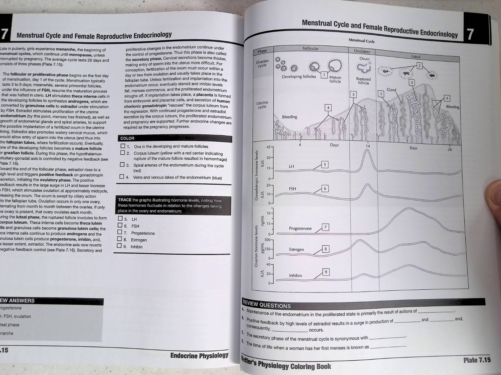 Netter’s Physiology Coloring Book by -S. Mulroney/A. Myers, Large Paperback 2022