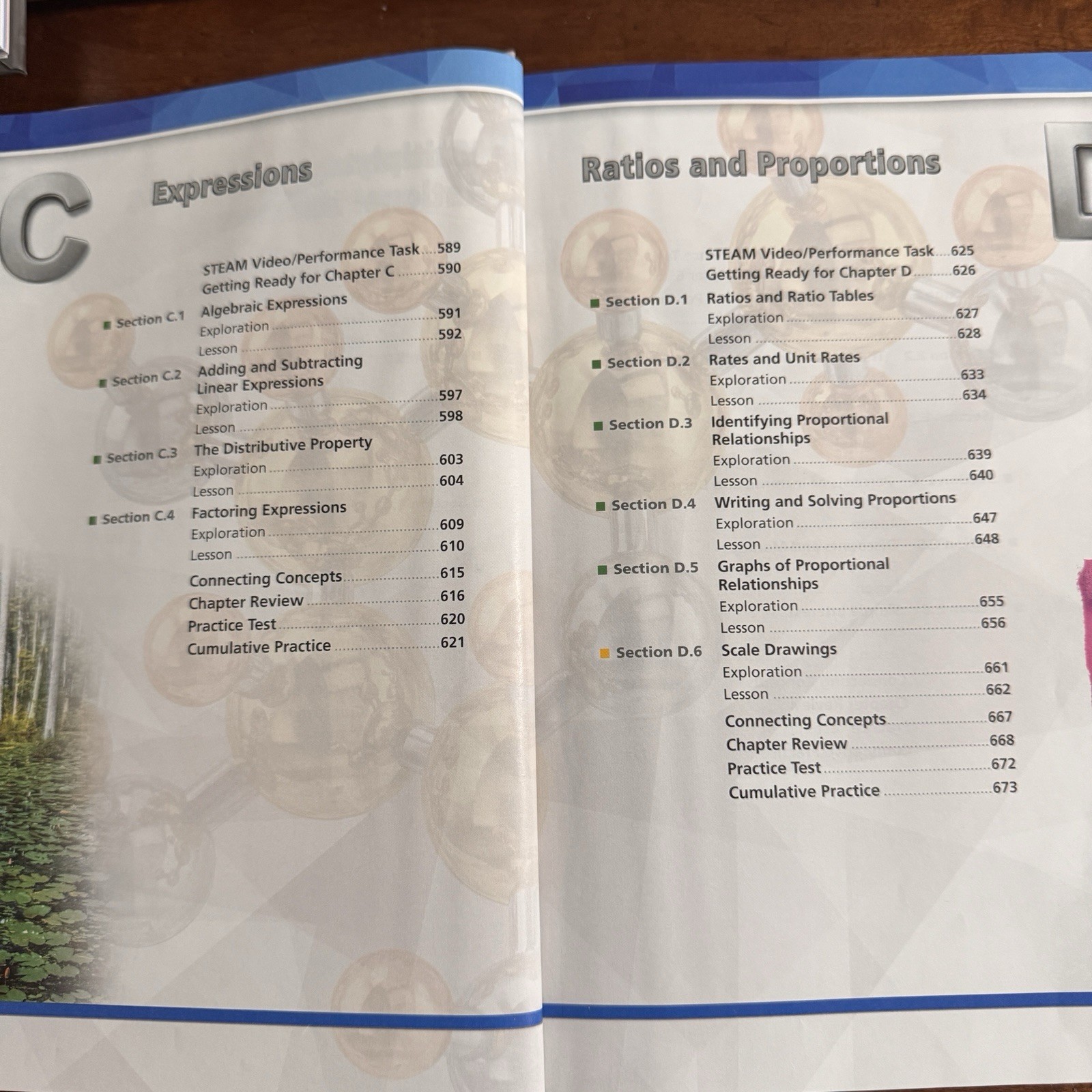 Big Ideas Math: Modeling Real Life – Grade 6 Advanced Student Edition