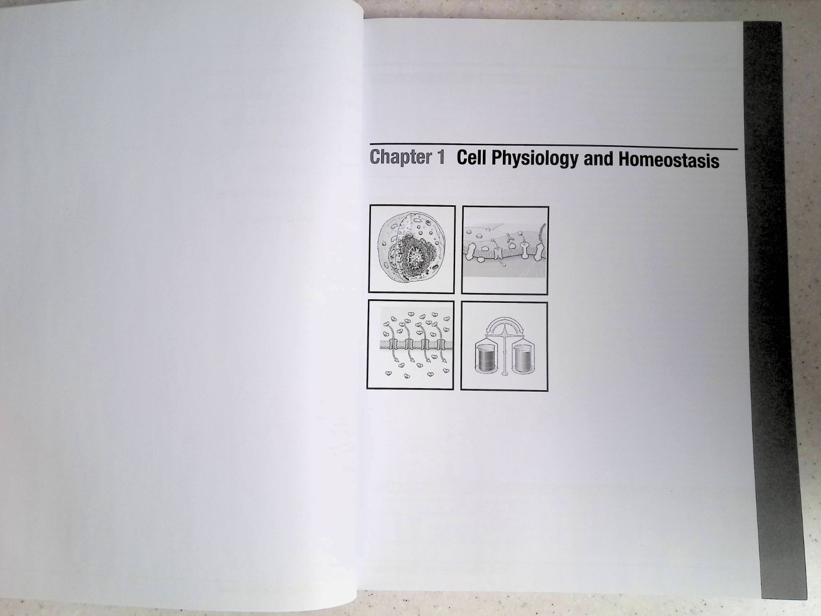 Netter’s Physiology Coloring Book by -S. Mulroney/A. Myers, Large Paperback 2022