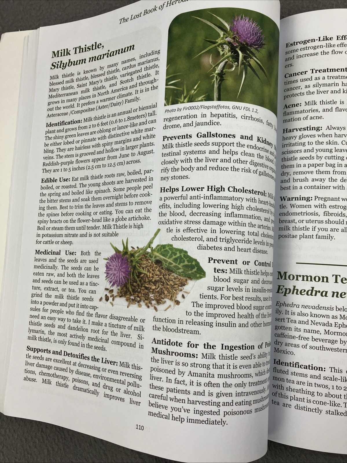 The Lost Book of Herbal Remedies (paperback with color pictures) Herbs Recipes