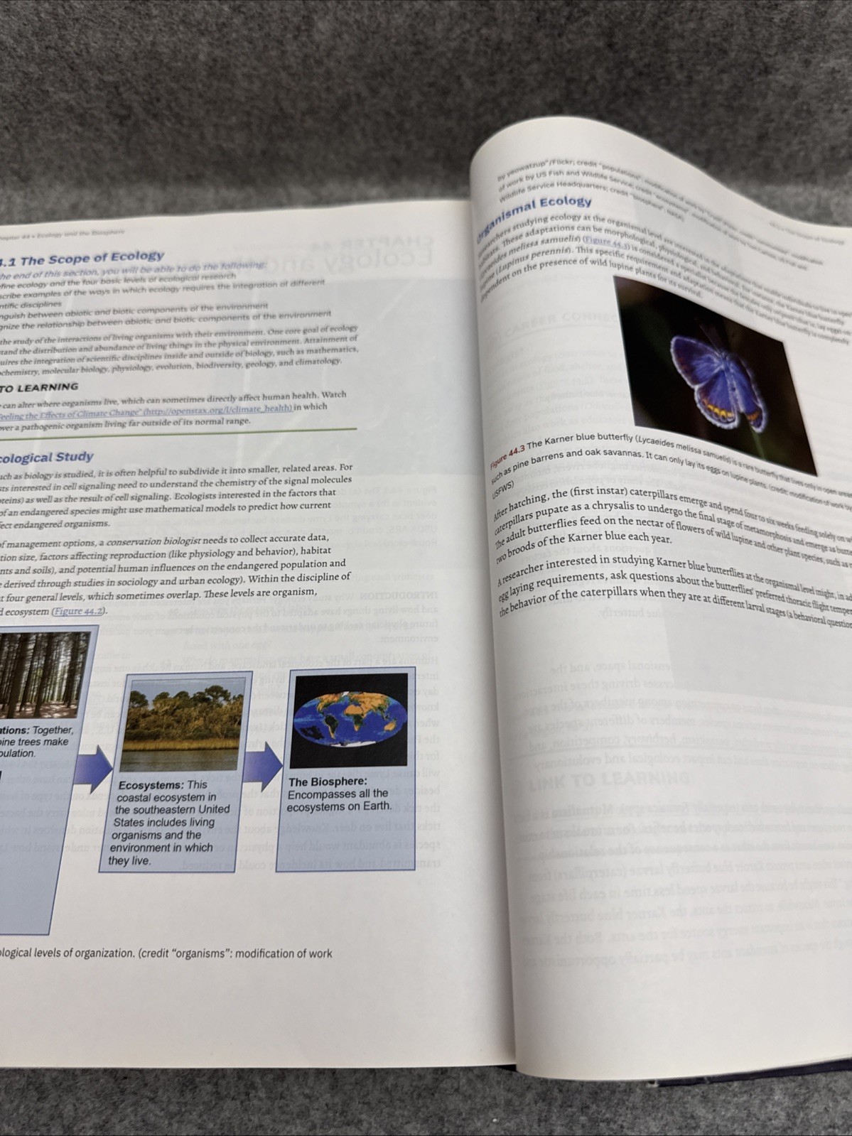 Biology 2e by Mary Ann Clark, Matthew Douglas and Jung Choi (2018, Hardcover)