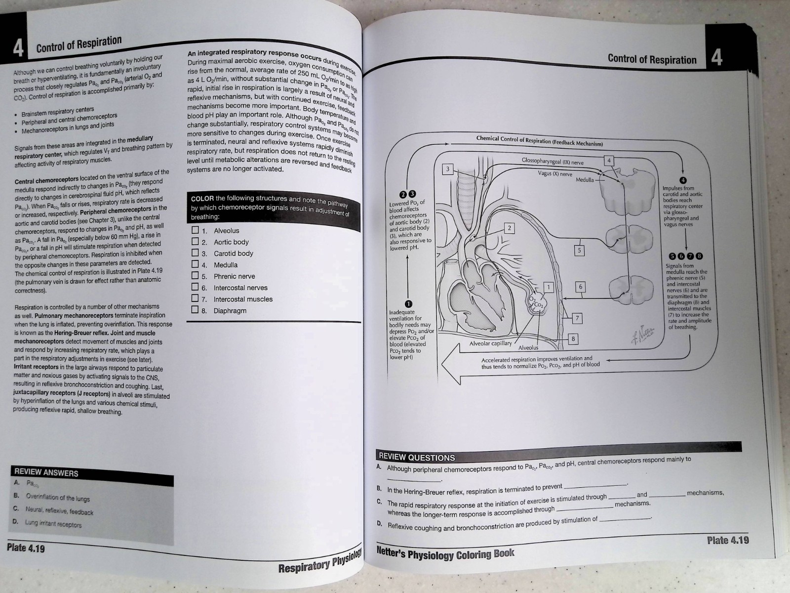 Netter’s Physiology Coloring Book by -S. Mulroney/A. Myers, Large Paperback 2022