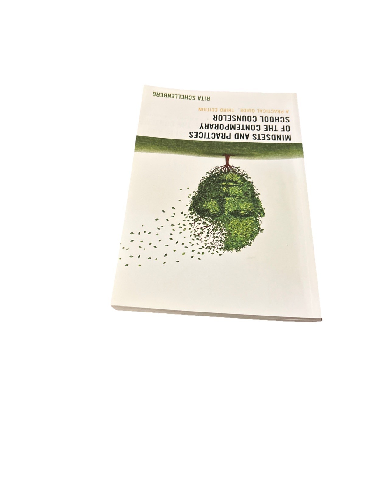 Mindsets and Practices of the Contemporary School Counselor: A Practical Guide
