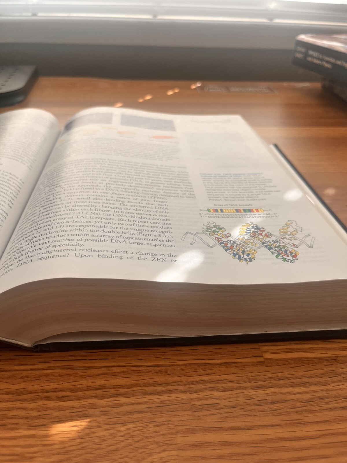 Biochemistry by John L. Tymoczko, Jeremy M. Berg, Gregory J. Gatto Jr. and…