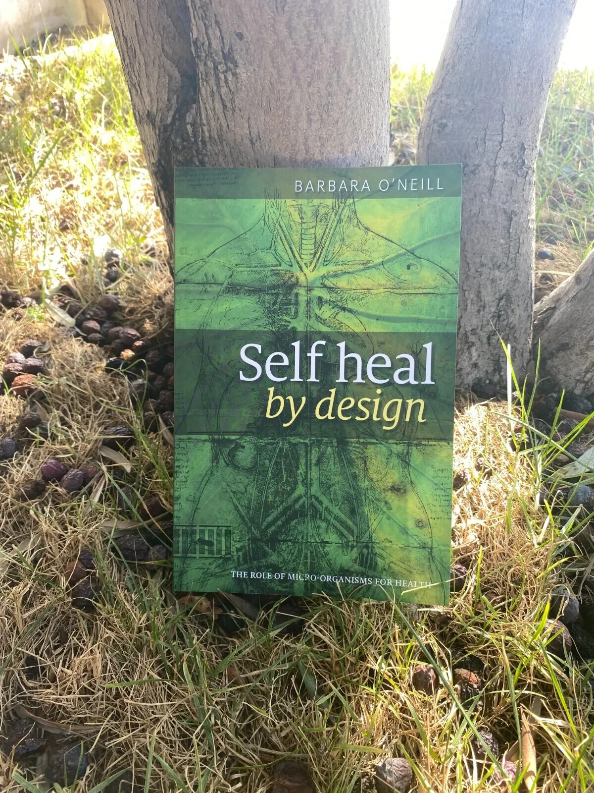 Self Heal By Design Book By Barbara O Neill HARDCOVER Limited Edition Fast Ship