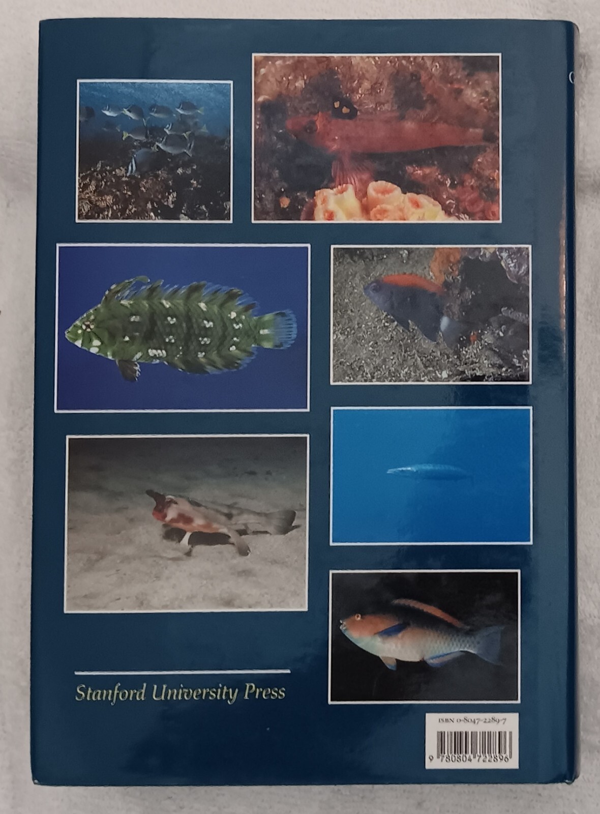 Fishes of the Galápagos Islands • Grove & Lavenberg • 1997 • Stanford HC/DJ