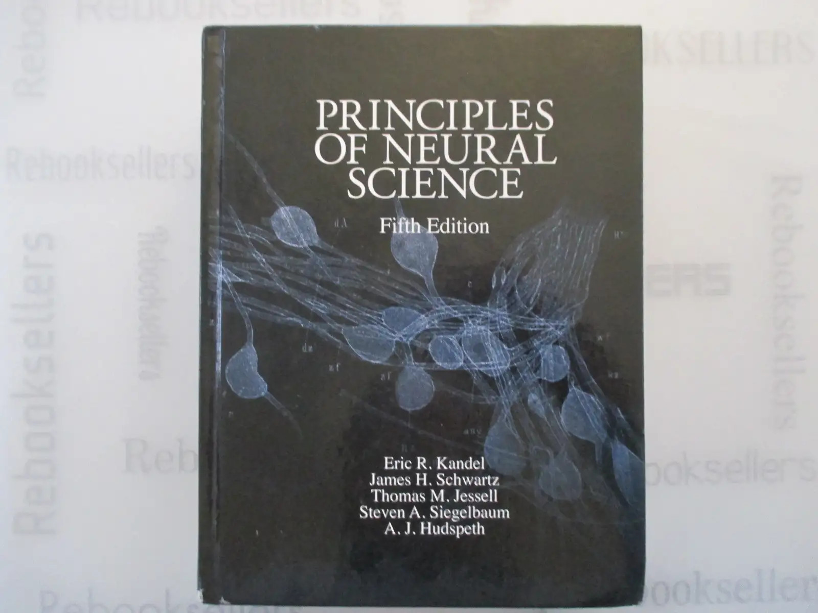 Principles of Neural Science, Fifth Edition (Principles of Neural Science (Kan..
