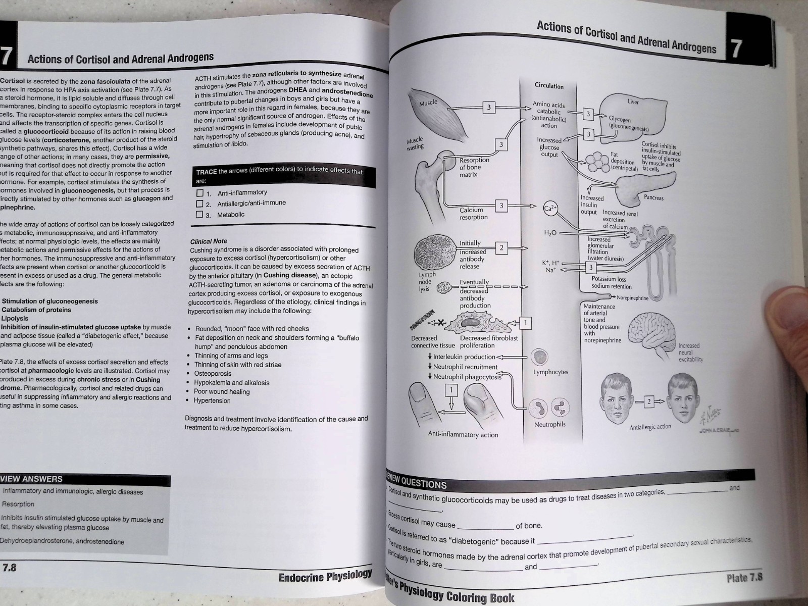 Netter’s Physiology Coloring Book by -S. Mulroney/A. Myers, Large Paperback 2022