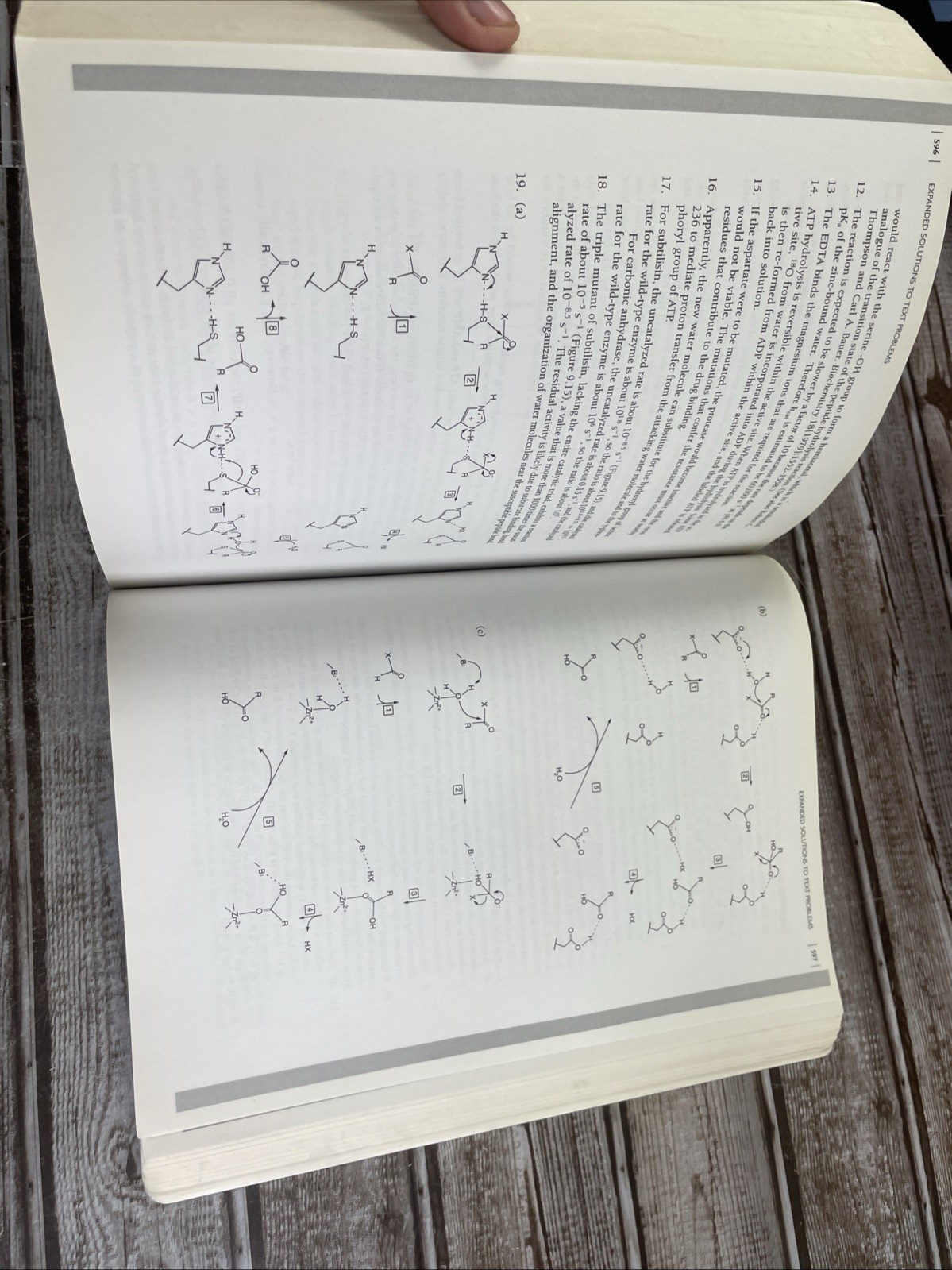 Student Companion for Biochemistry – Paperback By Berg, Jeremy M. – GOOD