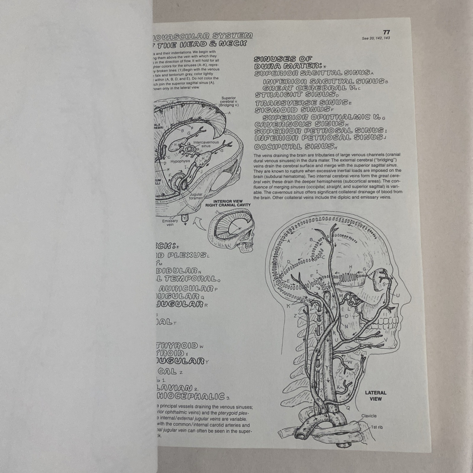 The Anatomy Coloring Book By Wynn Kapit & Lawrence M. Elson 2nd Edition