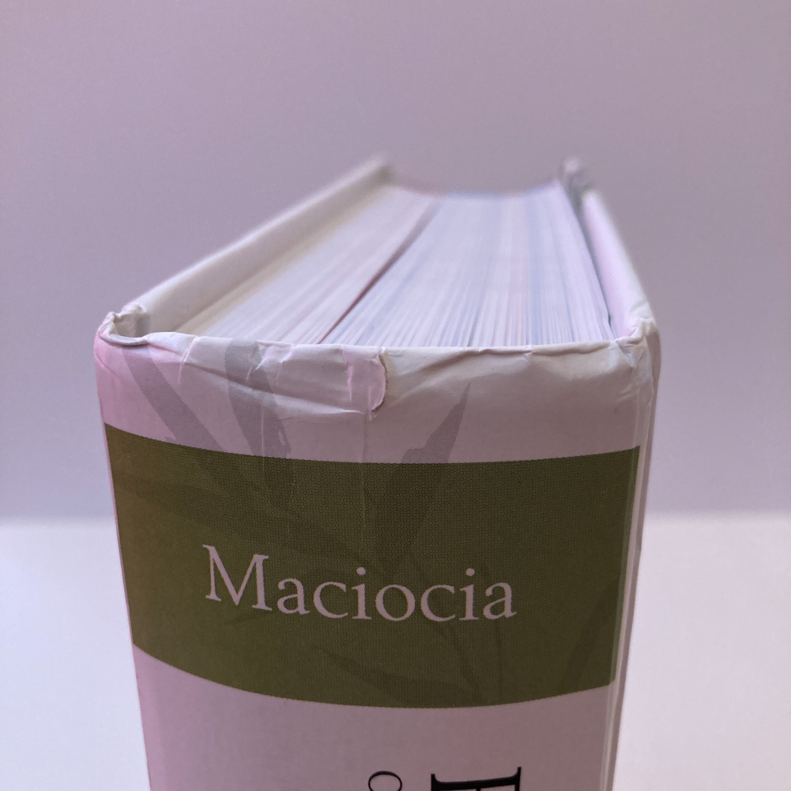 The Foundations of Chinese Medicine by Giovanni Maciocia (Hardback, 2015)