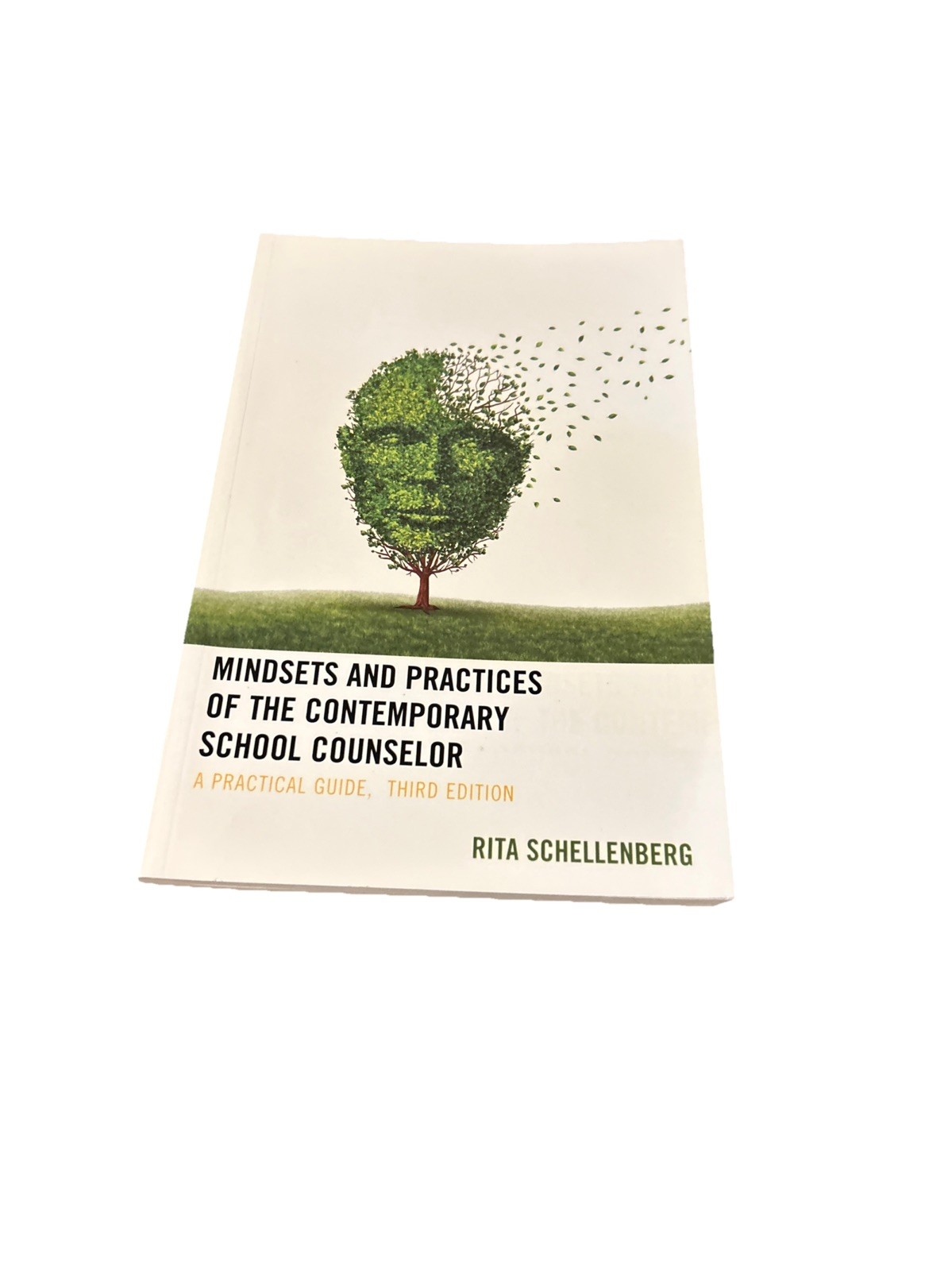 Mindsets and Practices of the Contemporary School Counselor: A Practical Guide