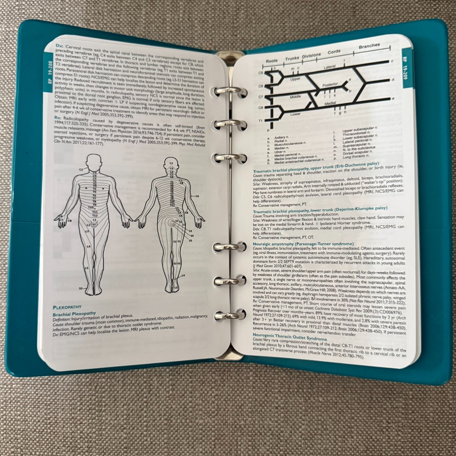 Pocket Notebook Ser.: Pocket Neurology by M. Brandon Westover (2021, Spiral)