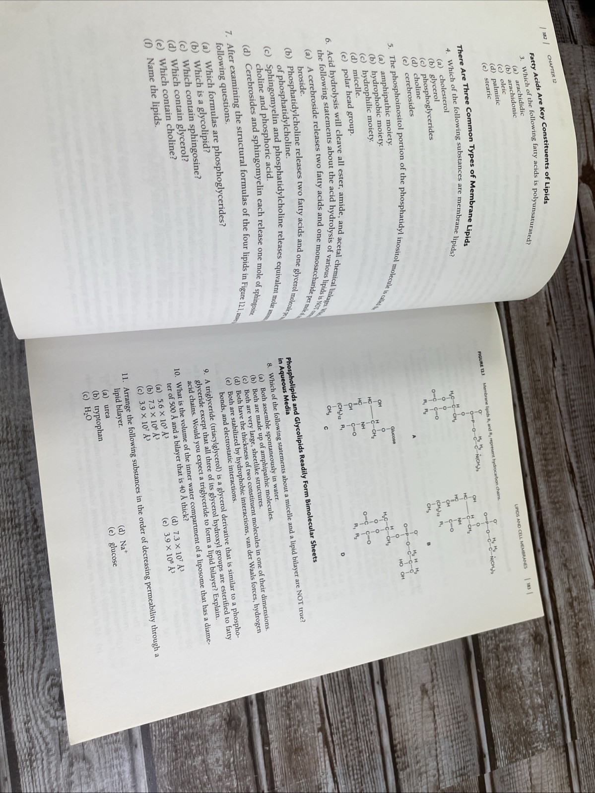 Student Companion for Biochemistry – Paperback By Berg, Jeremy M. – GOOD