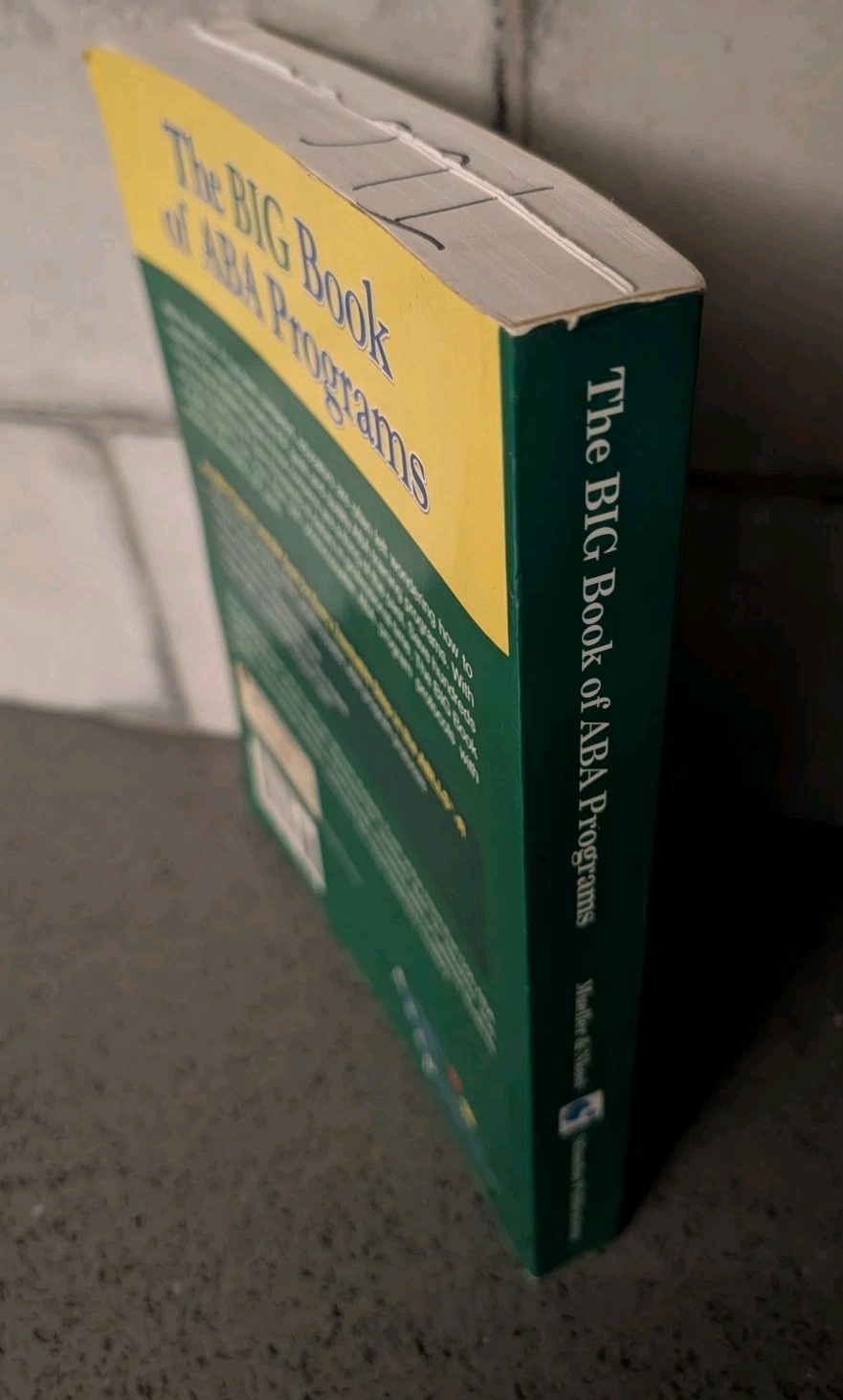 The BIG Book of ABA Programs – Paperback Michael M. Mueller Ph.D. – SEE PHOTOS