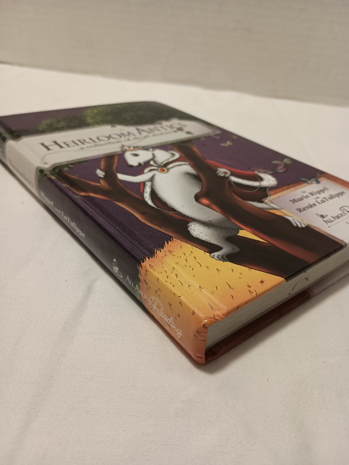 All About Reading Level 4 Vol. 1 “Animal Antics” Black & White