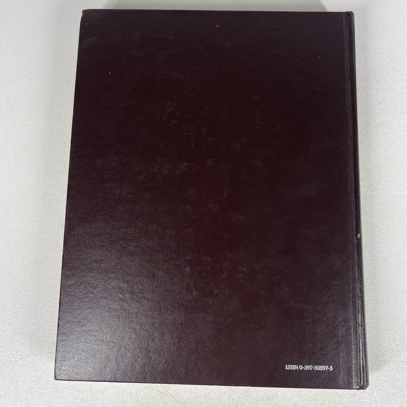Surgical Exposures in Orthopaedics Hardcover Stanley Hoppenfeld