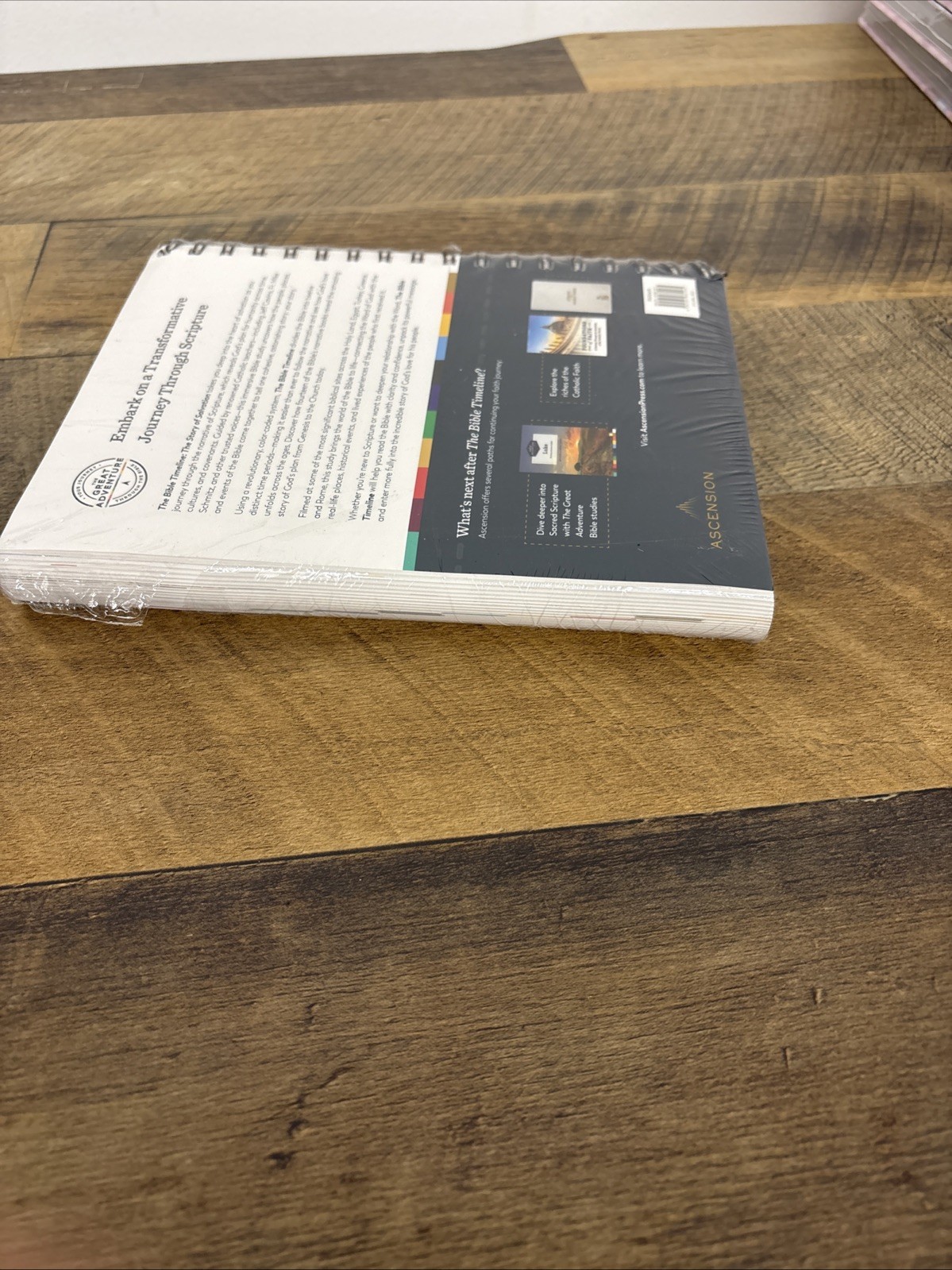 The Bible Timeline: The Story of Salvation, Study Set Spiral Bound