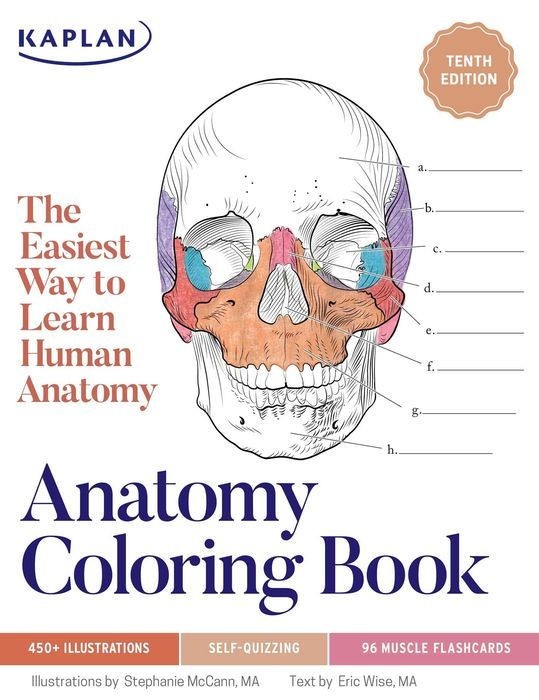 Anatomy Coloring Book – 450+ Medical Illustrations w/ Quizzes | Kaplan Test Prep