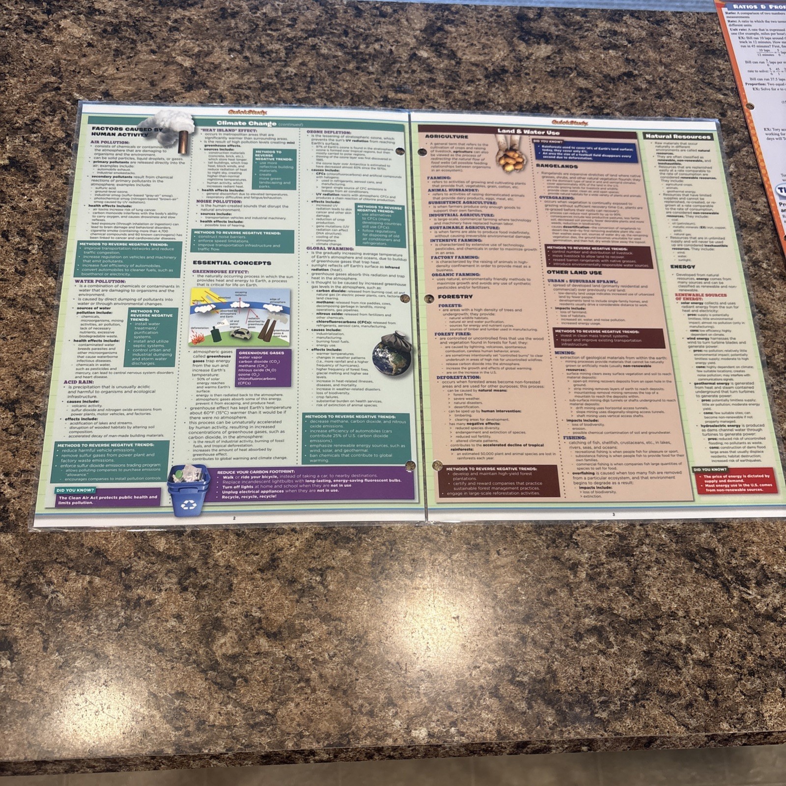 Math Common Core 7Th & 8th Grade. English& Writing 8th grade Science Fundamental