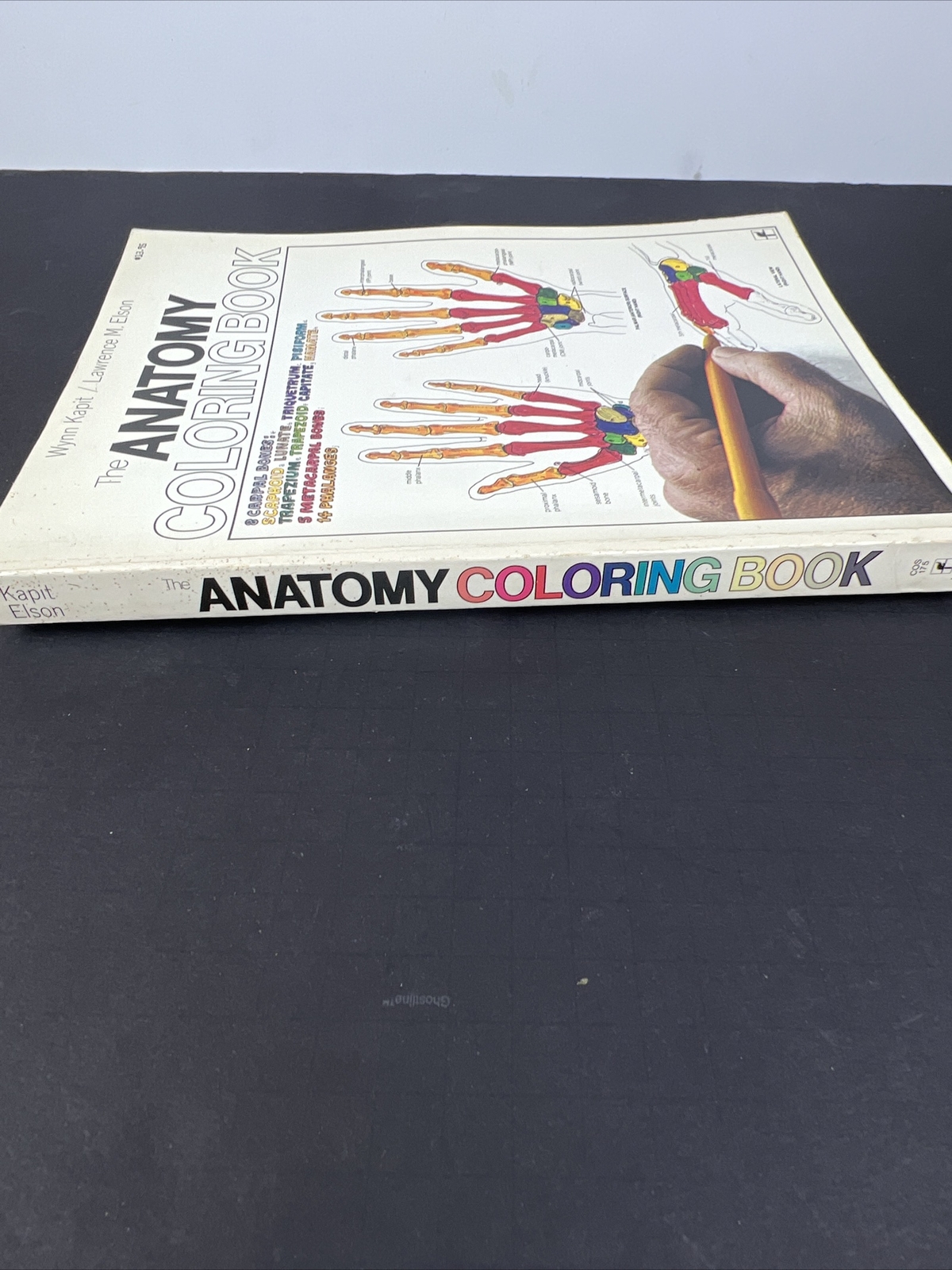 The Anatomy Coloring Book – Paperback By Kapit, Wynn 1977 Unused