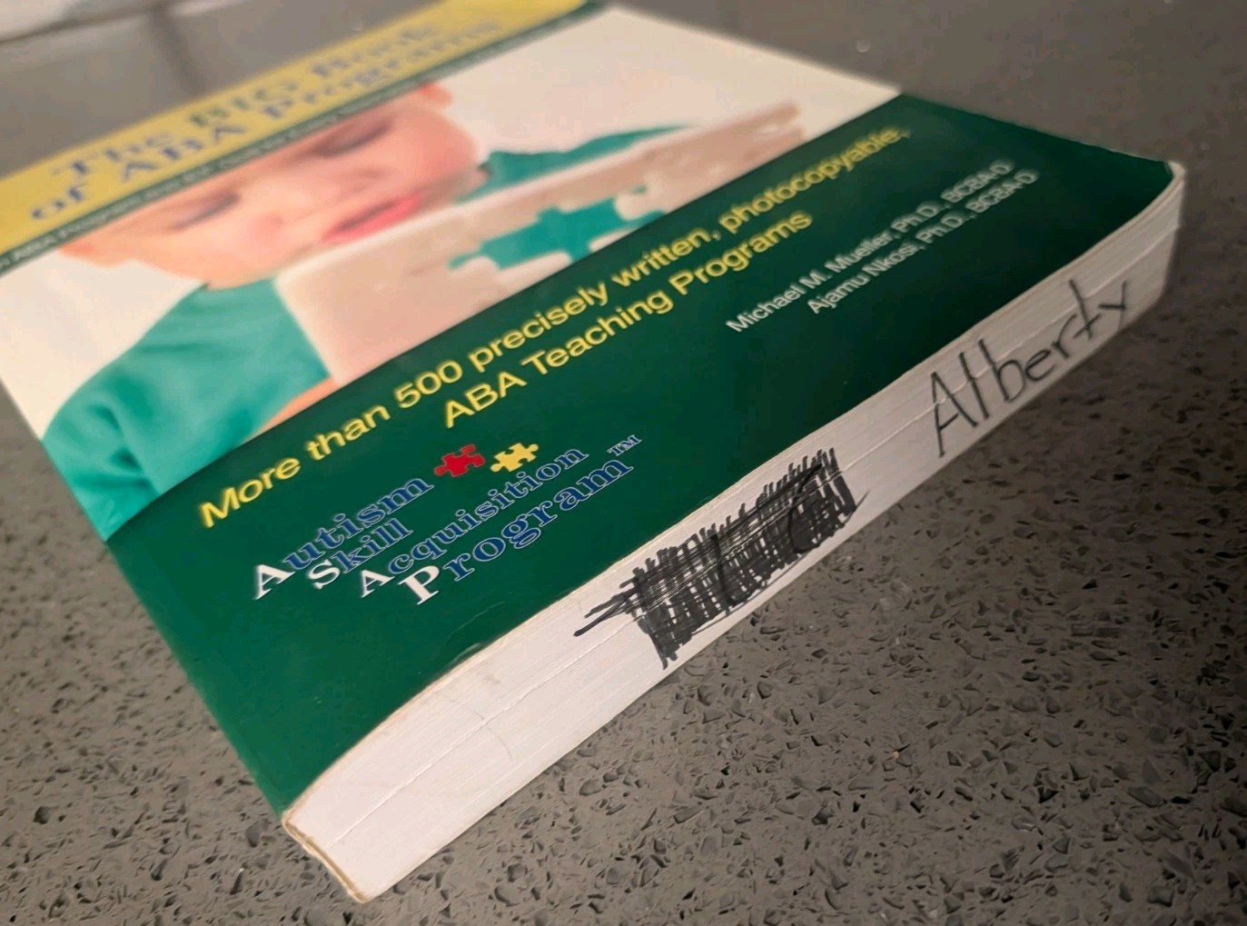 The BIG Book of ABA Programs – Paperback Michael M. Mueller Ph.D. – SEE PHOTOS