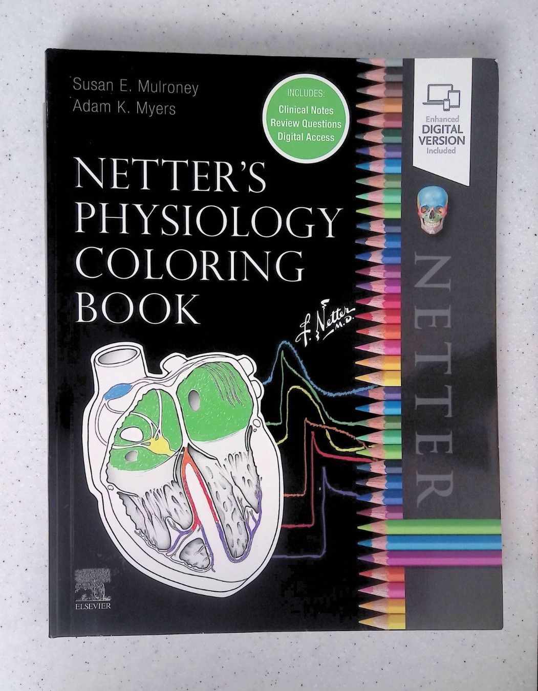 Netter’s Physiology Coloring Book by -S. Mulroney/A. Myers, Large Paperback 2022