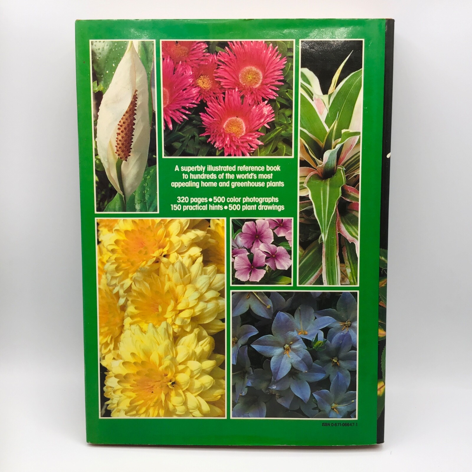 VTG House Plants The Illustrated Encyclopedia Hardcover Book by W. Davidson 1984