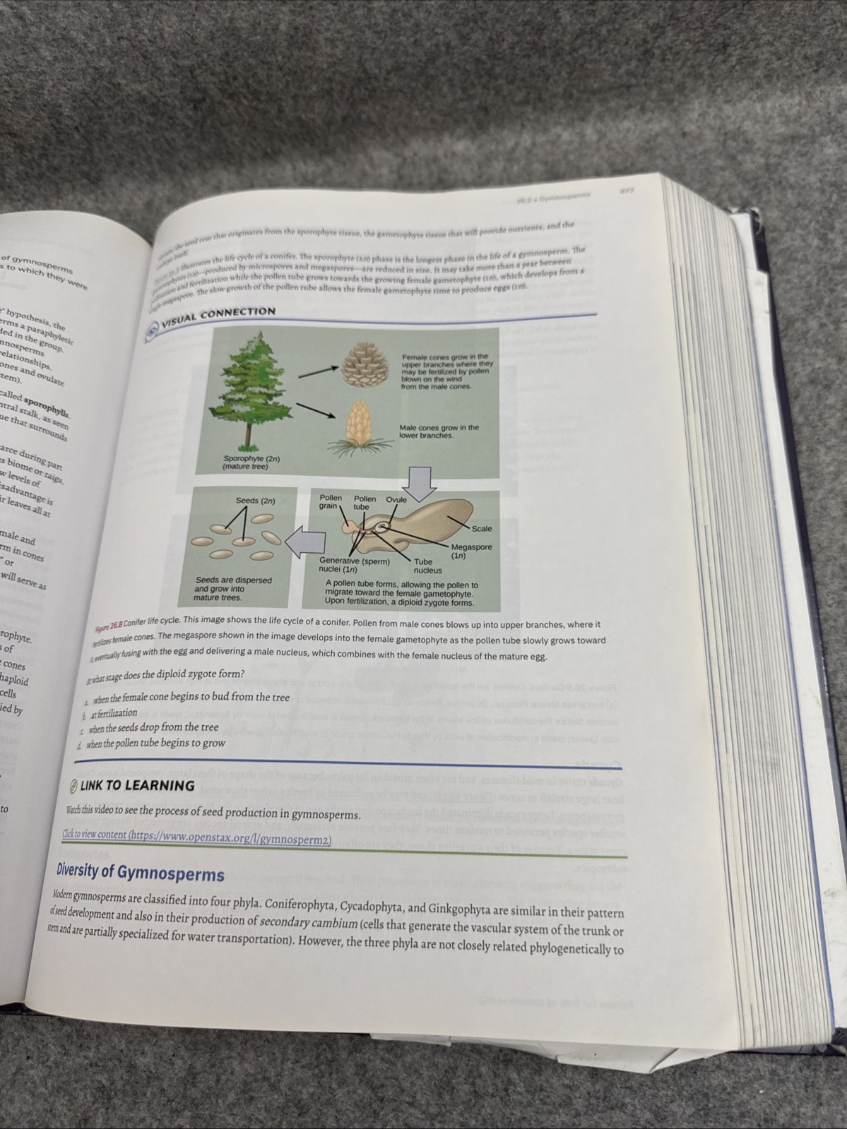 Biology 2e by Mary Ann Clark, Matthew Douglas and Jung Choi (2018, Hardcover)