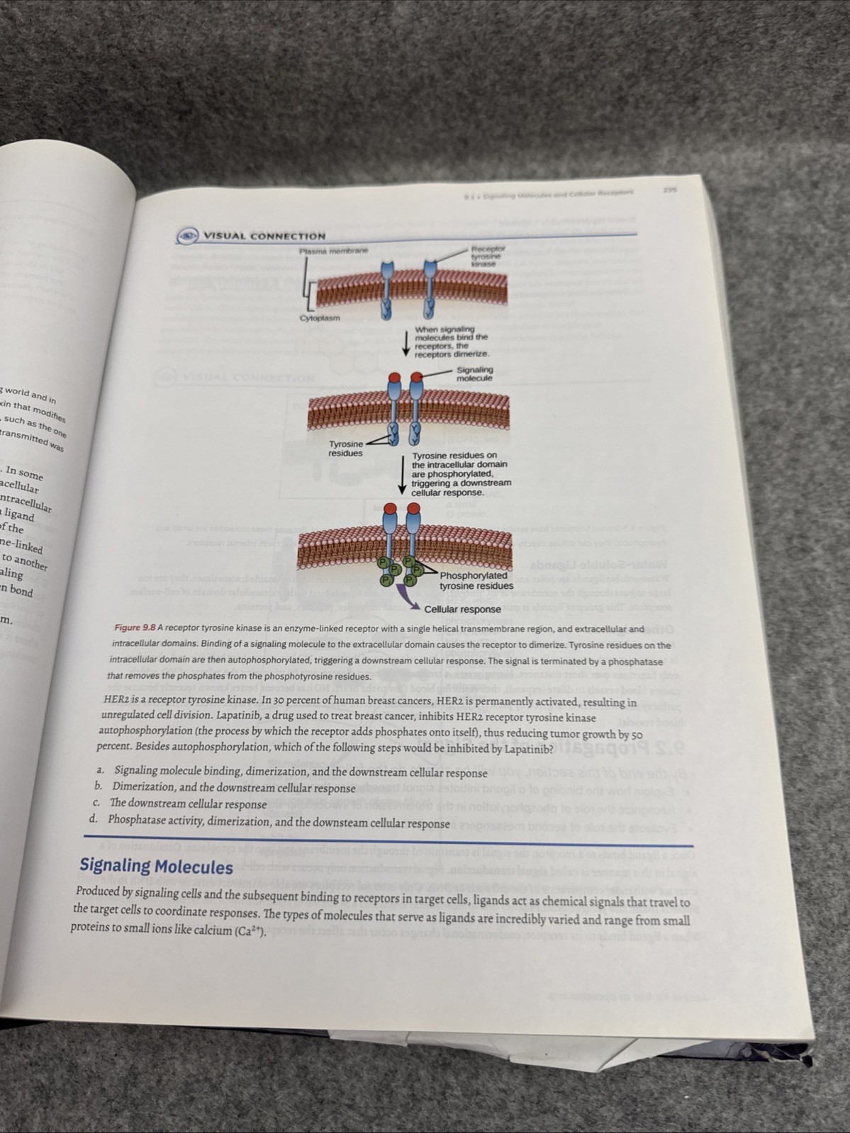 Biology 2e by Mary Ann Clark, Matthew Douglas and Jung Choi (2018, Hardcover)