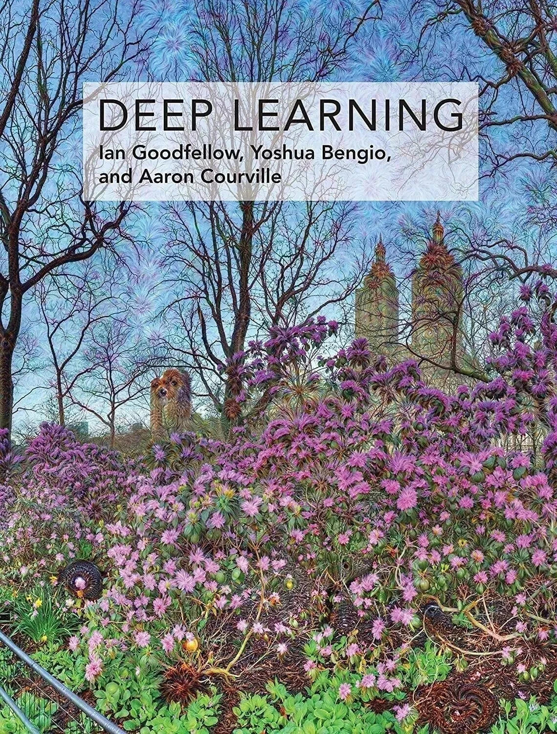 Deep Learning by Ian Goodfellow, Yoshua Bengio, Aaron Courville﻿ USA Stock