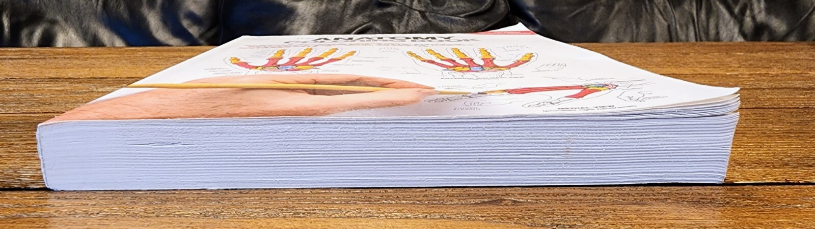The Anatomy: Coloring Book by Lawrence M. Elson and Wynn Kapit, Second Edition