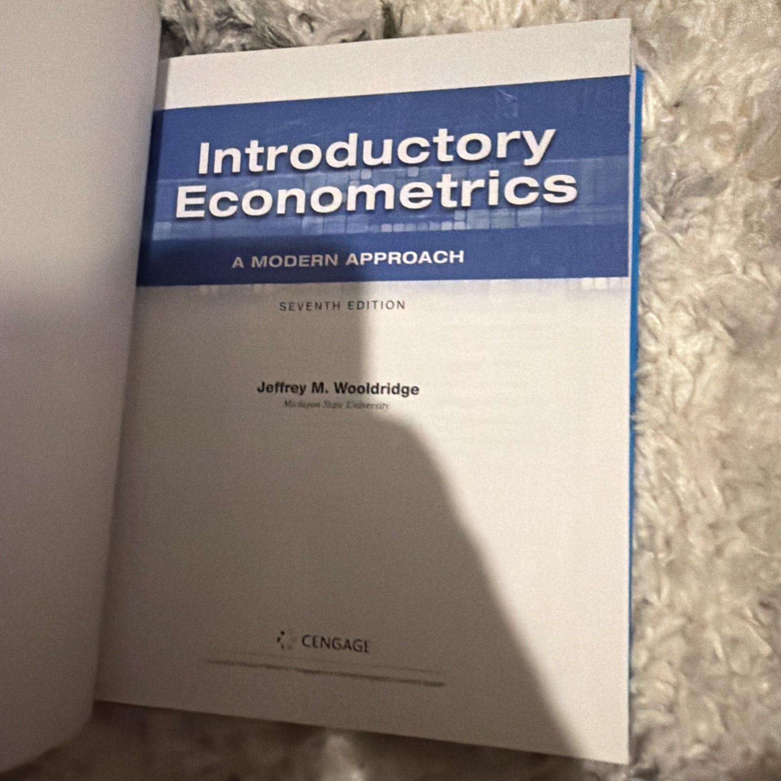 Introductory Econometrics: A – Hardcover, by Wooldridge Jeffrey – Very Good