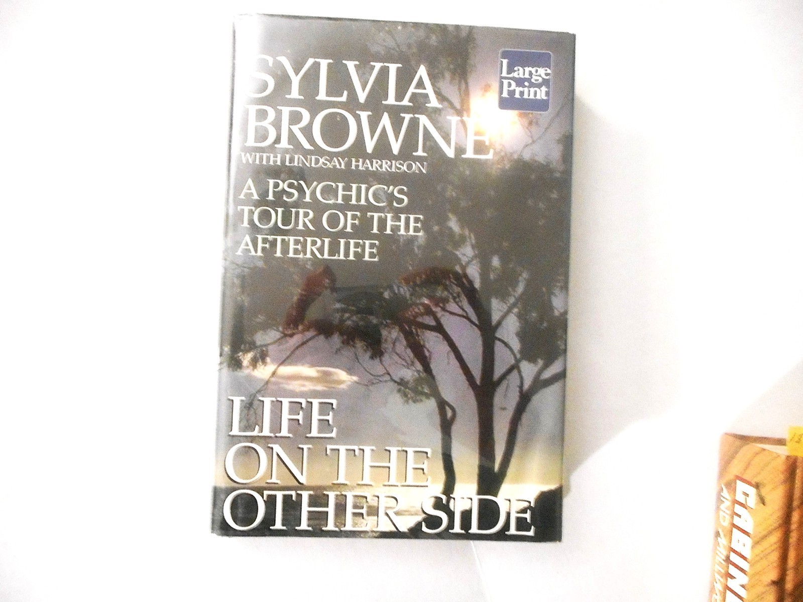 Life on the Other Side a Psychic’s Tour of the Afterlife Large Print Edition