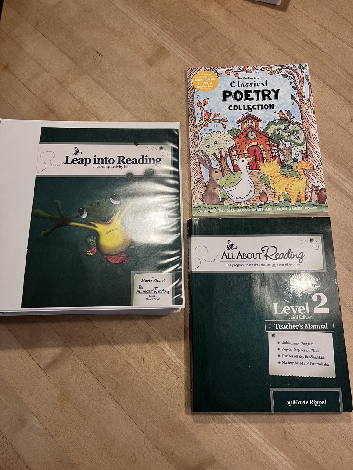 All About Reading Level 2 Teacher & Activity Books B&W Third Ed, Thinking tree
