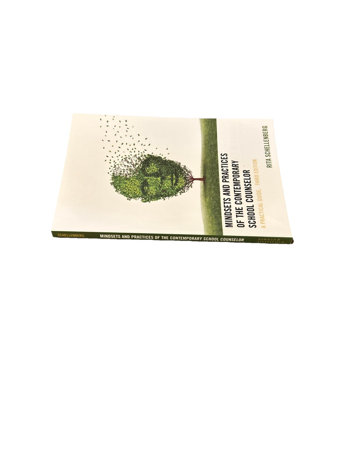 Mindsets and Practices of the Contemporary School Counselor: A Practical Guide