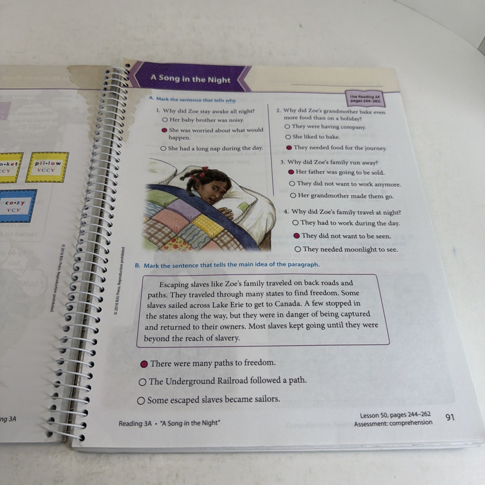BJU Press Adventures in Reading 3 Worktext Answer Key Third Edition Paperback
