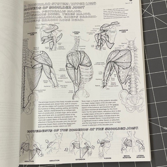 Vintage 1993 Anatomy Coloring Book Wynn Kapit/Lawrence M. Elson 2nd Edition