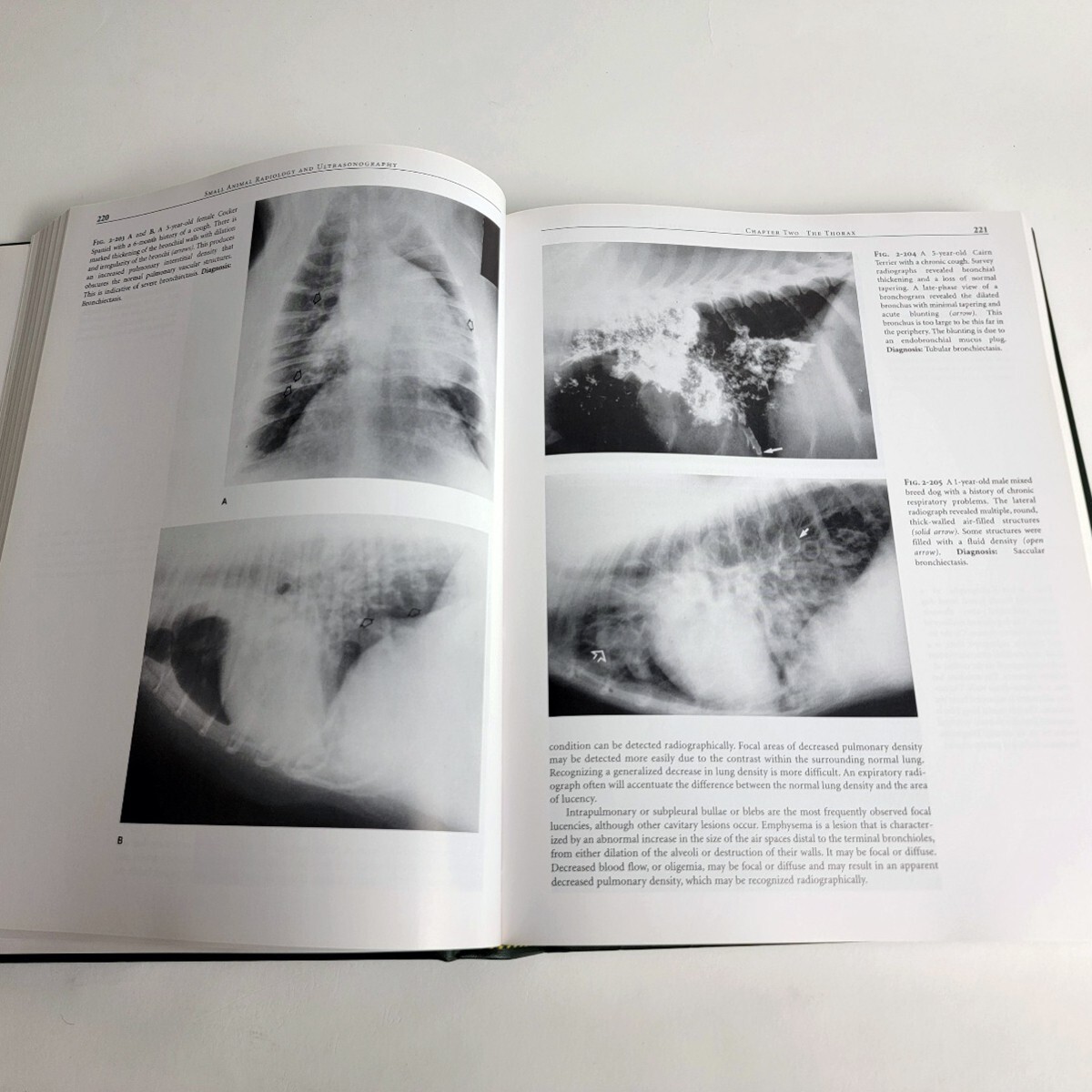 Small Animal Radiology and Ultrasound: A Diagnostic Atlas & Text 3rd Edition