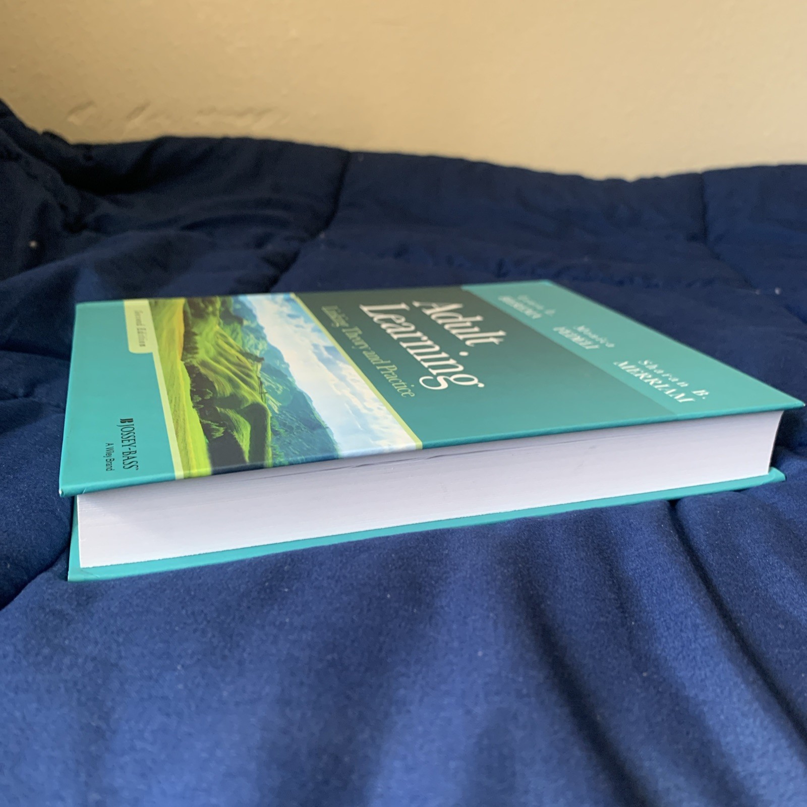 Adult Learning : Linking Theory and Practice, Hardcover Second (2nd) Edition New